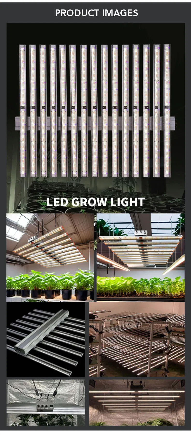 Full Spectrum Strip Lights 1200W 900W 1000W LED Grow Light for Indoor Plants IP65 for Bloom