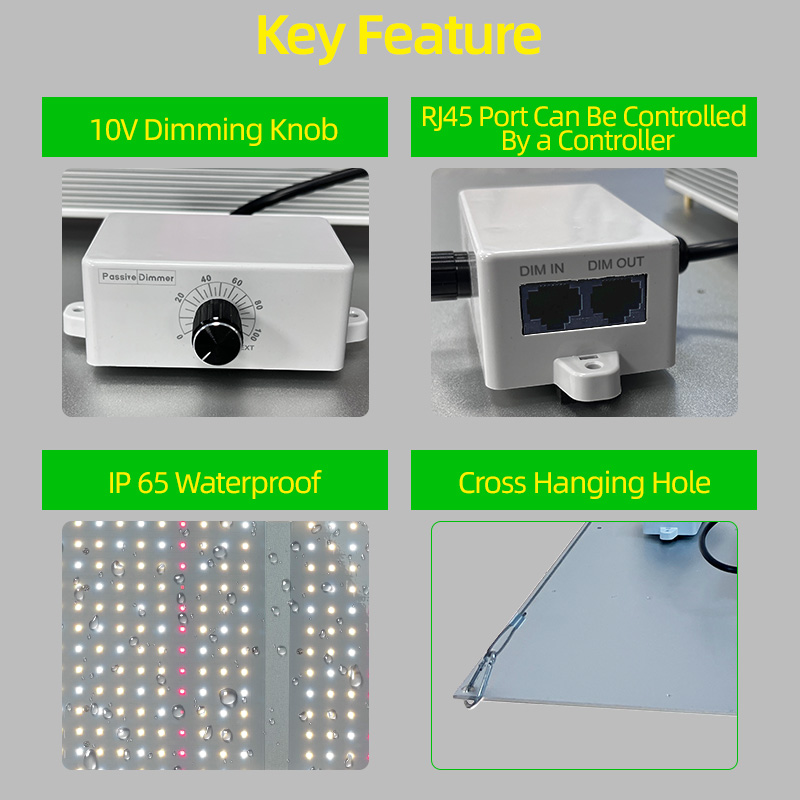 For Samsung Lm301b Lm301h Evo 100W 200W 400W Dimmable LED for Quantum Board Greenhouse Power 3GP King LED Grow Light Panels