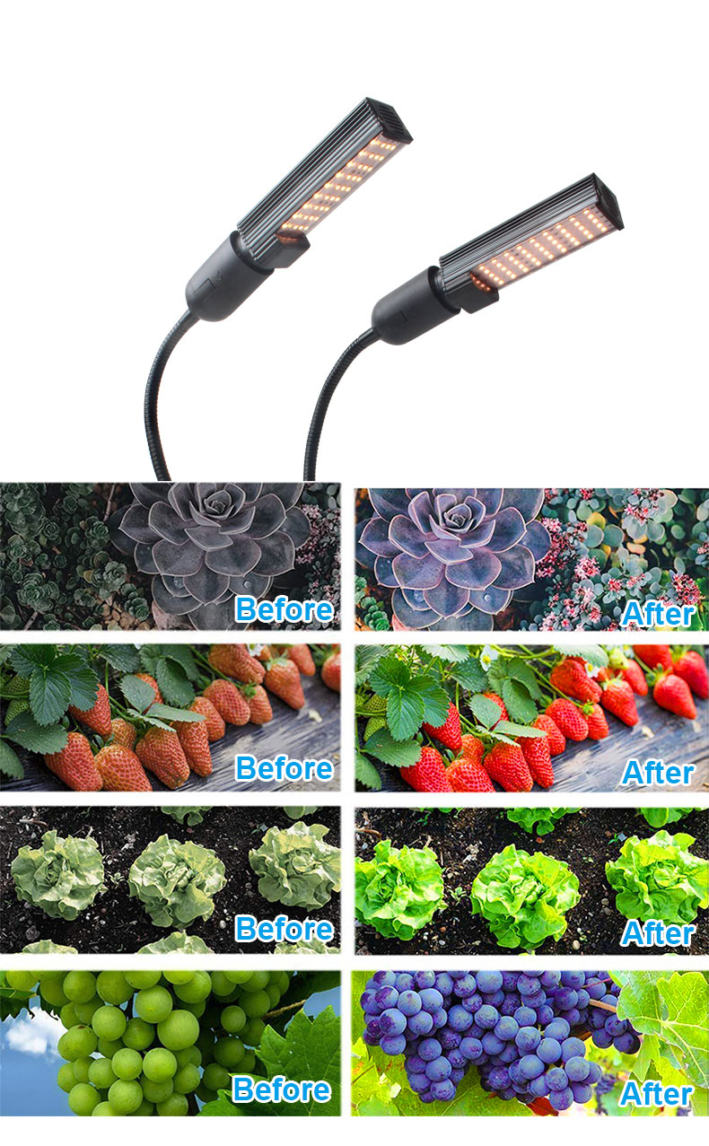 Full Spectrum 2 Heads Timing Dimmable Desk Clip LED Grow Light for Indoor Plants Hydroponics for Indoor Plants