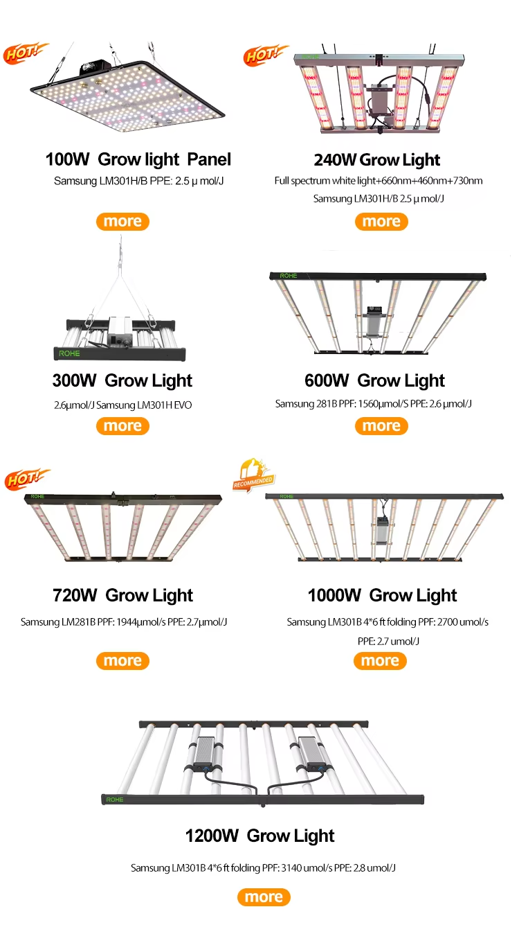 Product Overview