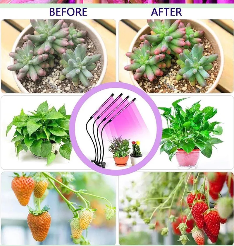 Grow Light Image 3