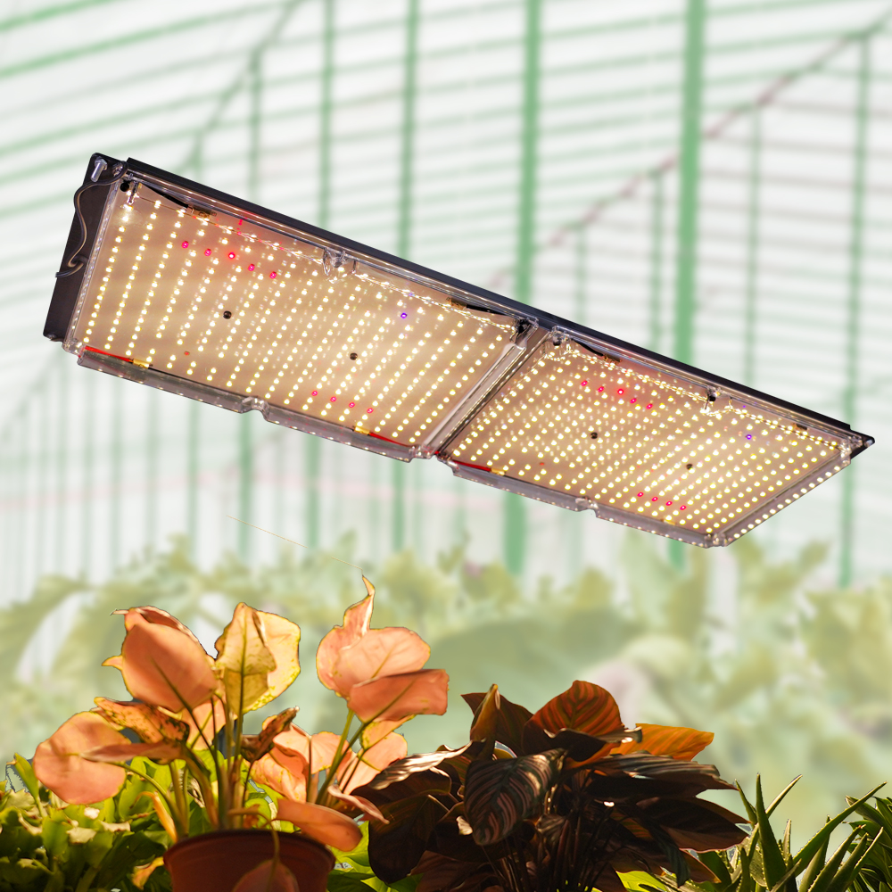 MEIJIU FOLUX-X 240W Lm301H Lm301B 660nm 240 Watt Board Far Red IR UV Full Spectrum Samsung Led Grow Light For Indoor Growing