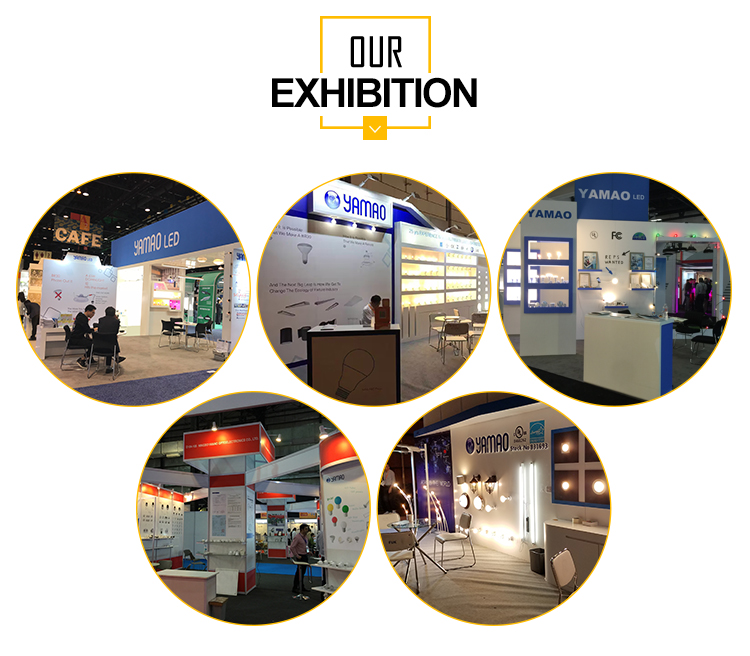 Exhibition