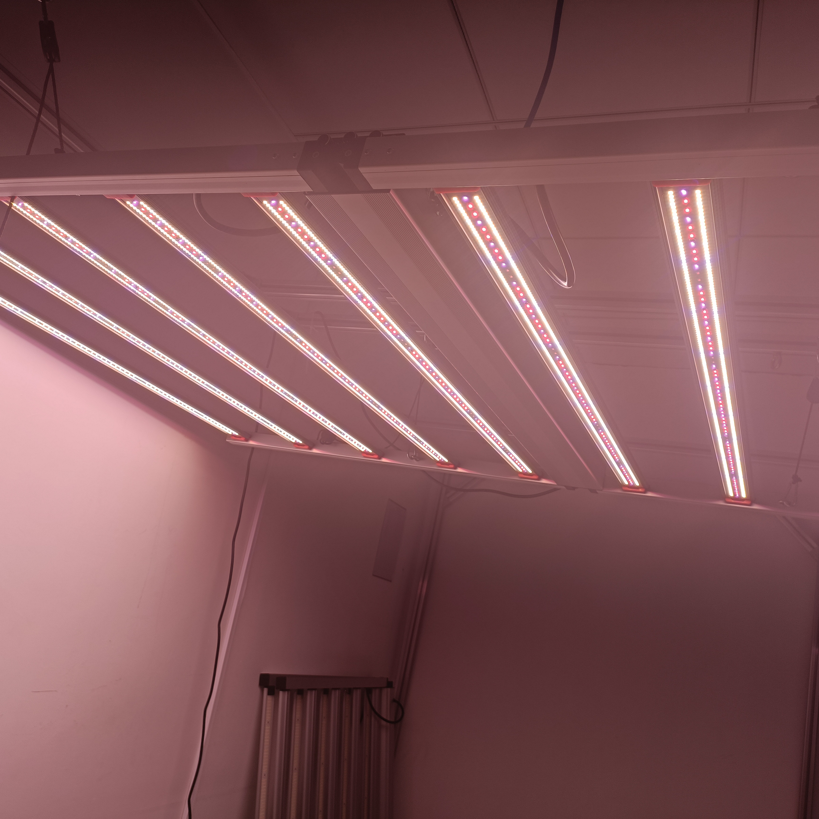 BAVA New Horticulture Indoor Plant Lamp 400W 640W 800W Dimmable 4 6 8 Bars Led Grow Light for Greenhouse Growing Tent Kit