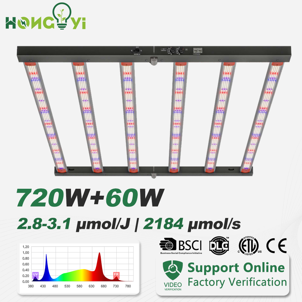 Related Product 1