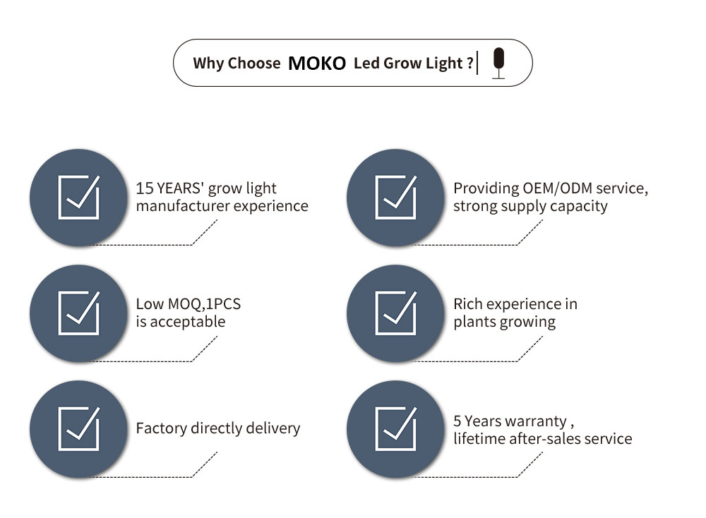 Grow Light Application 1