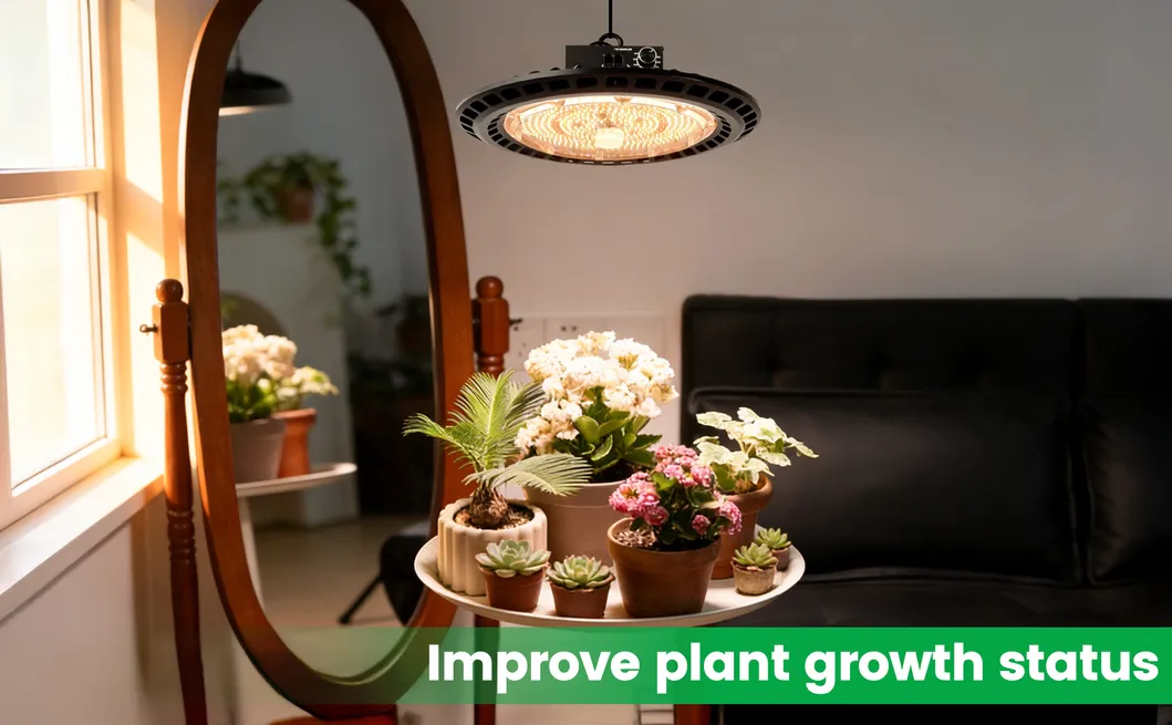 UFO LED Grow Light Installation
