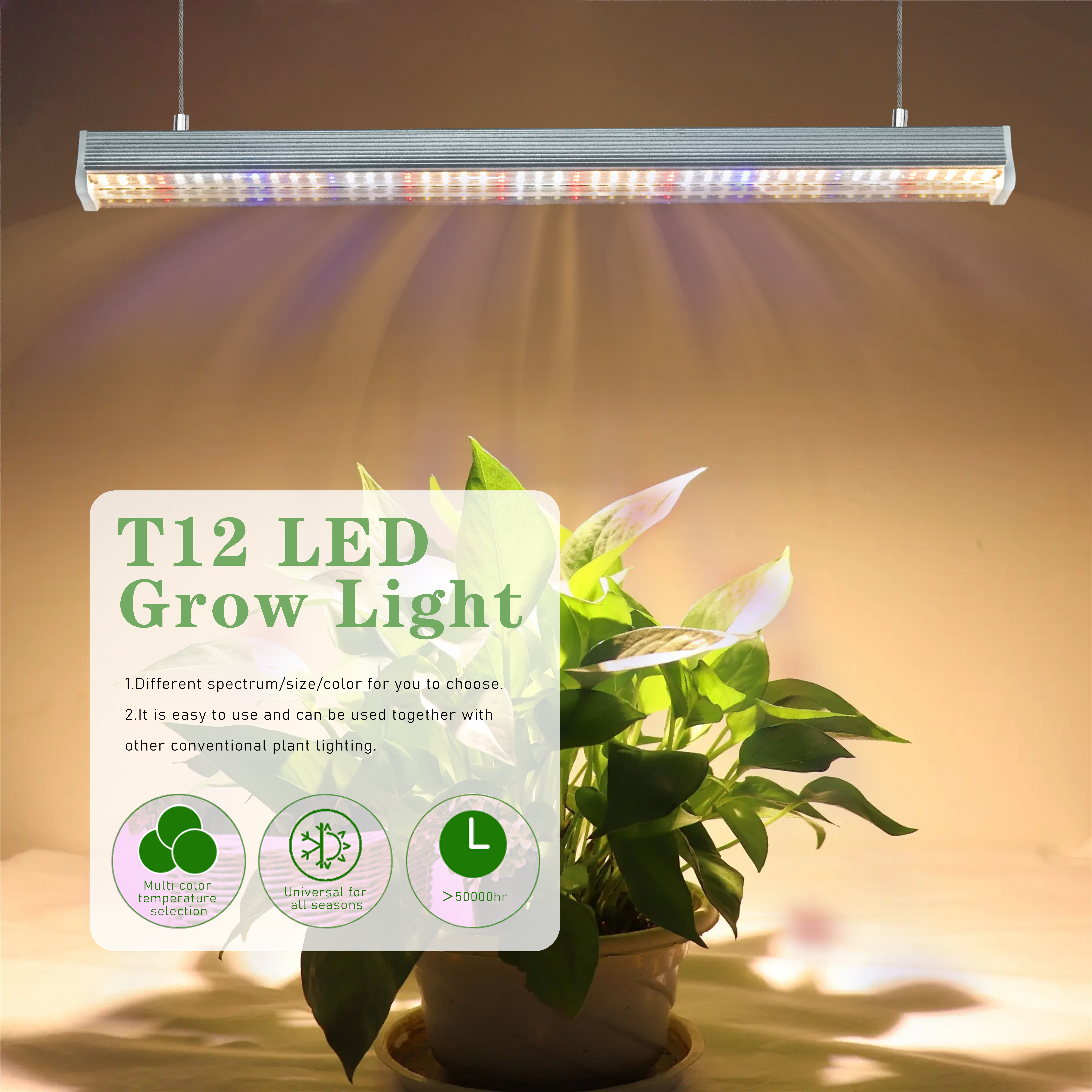 LED Grow Light Overview