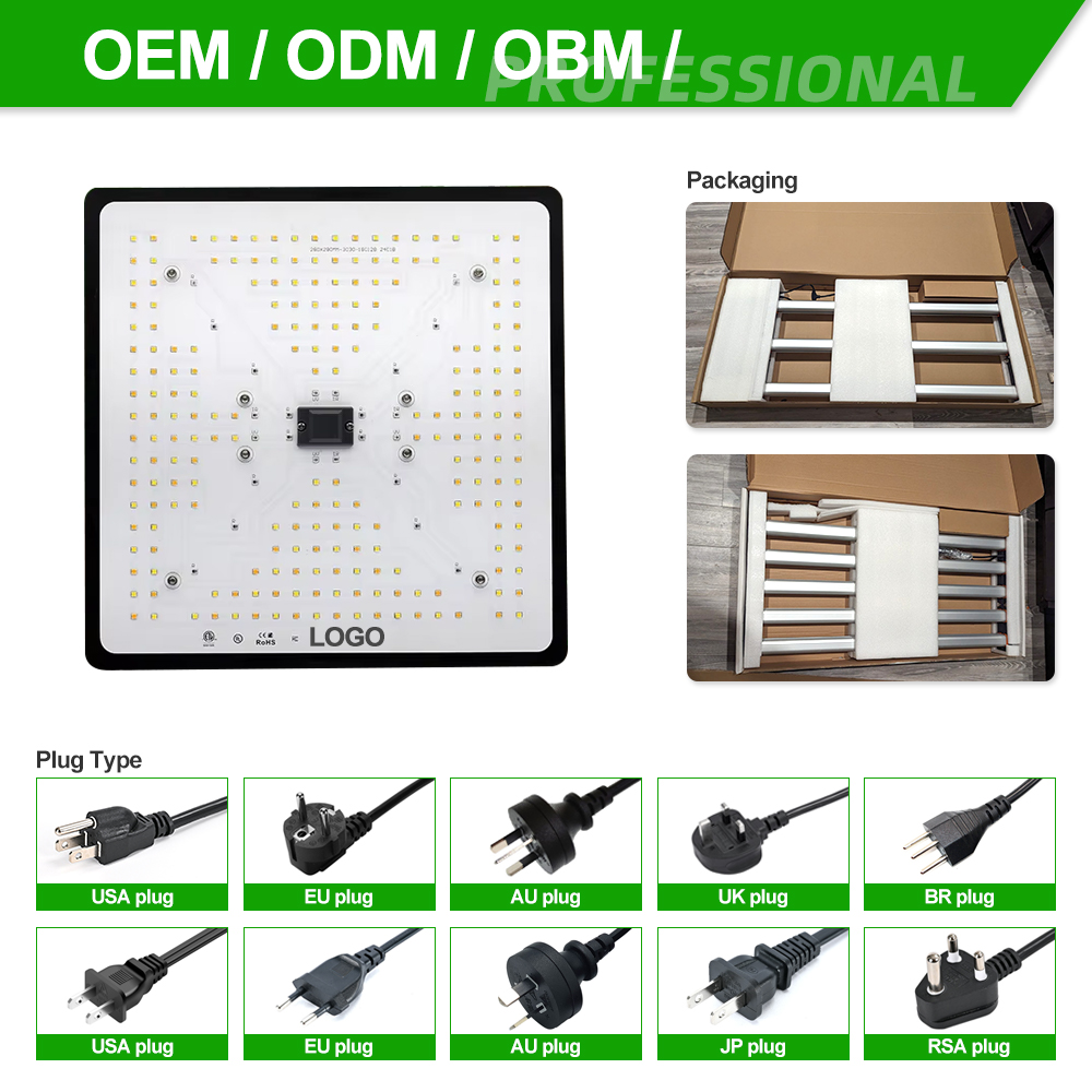 100W Dimmable COB LED Grow Light for Small Plants Table Bloom Light Timer Black Color Aluminum Body IP65 Rating for Home Garden