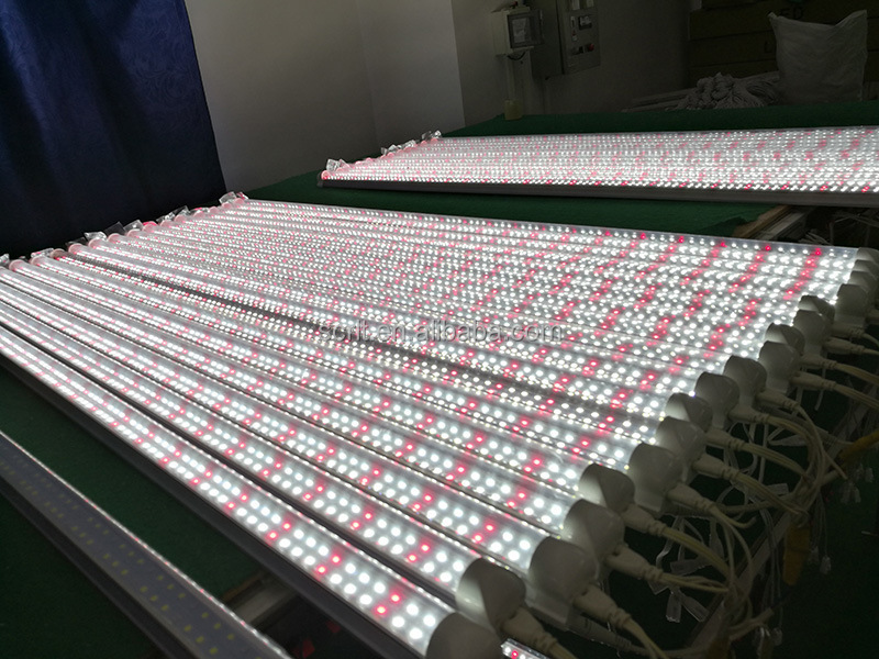 Grow Light 2