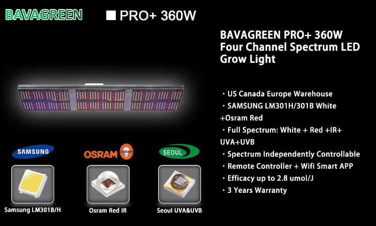 Product Details 4