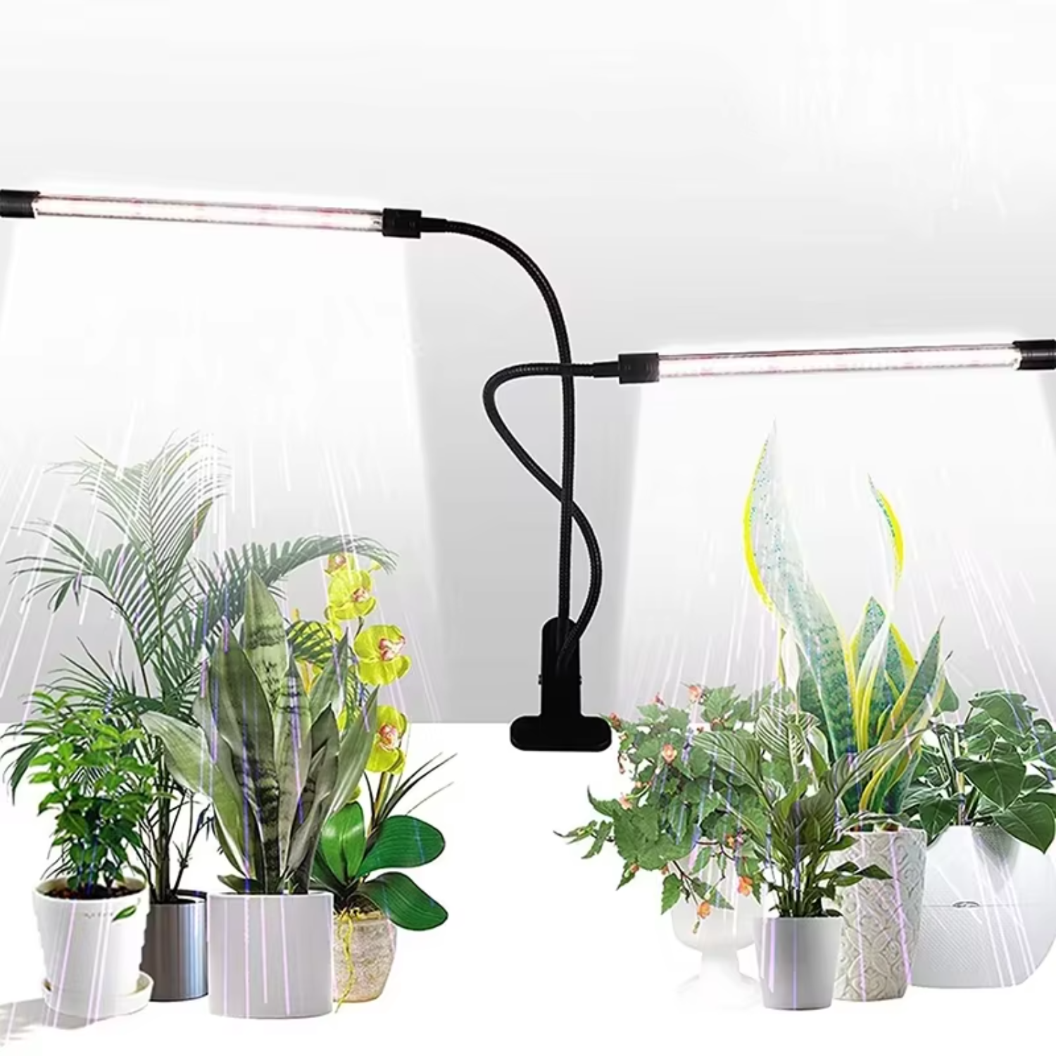 Plant Grow Light Scene 4