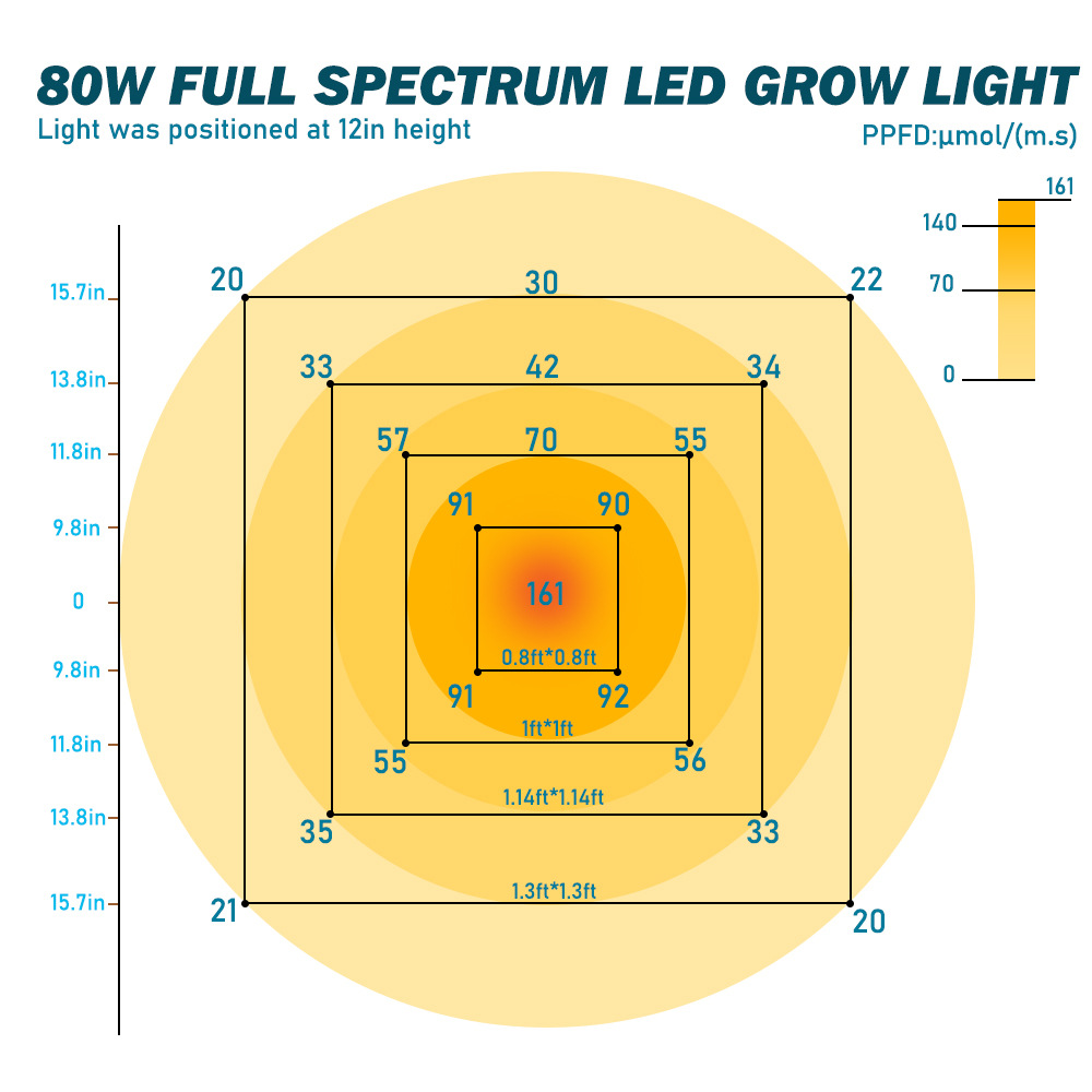 Grow Light Presentation 6