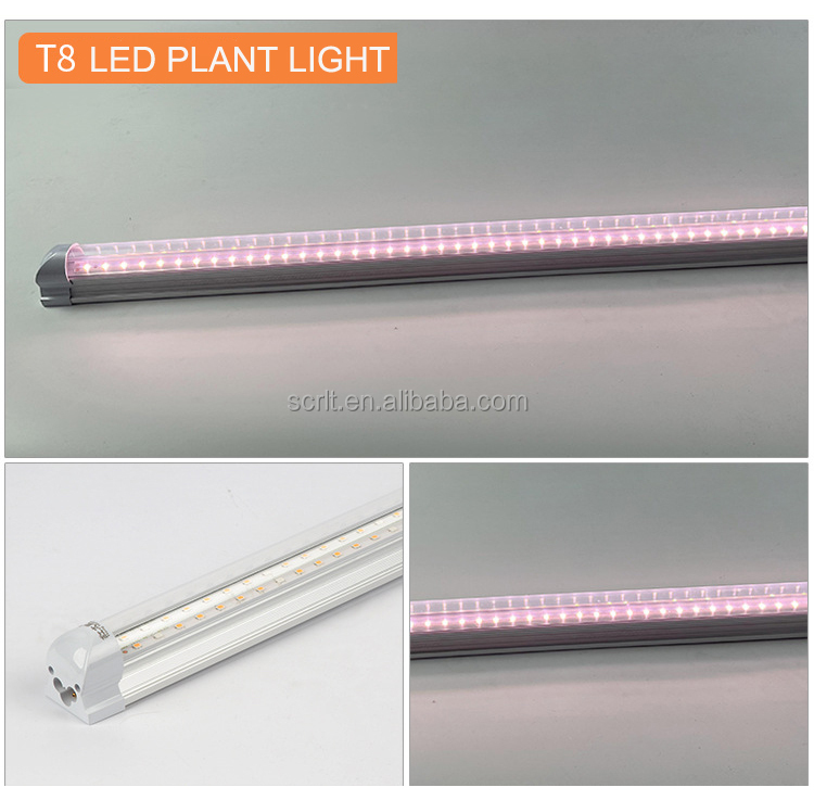 LED Strip Full Spectrum T8 Grow Lights for Indoor Plants 36W Waterproof IP65 Home Plant Plant Factory Lighting T8 Tubes 0.6m 10w