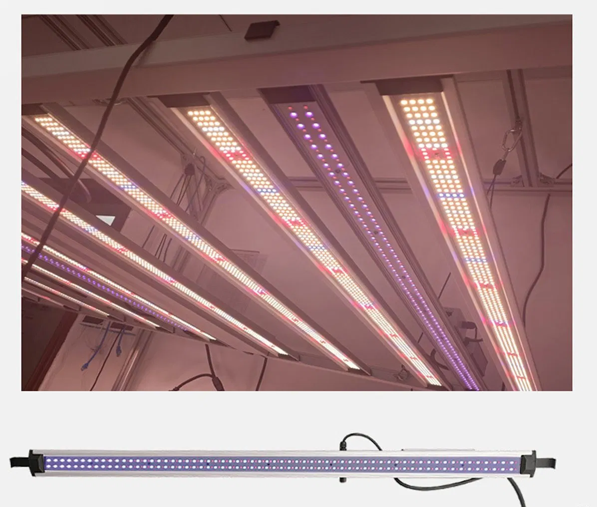 Supplemental LED Grow Light Bar 100W UV with RJ45 Daisy Chain, Aluminum IP54 Plant Light for Vertical Farming