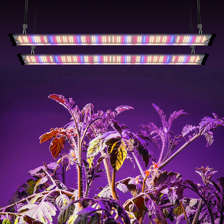 Professional 50w 70W 100W 200W Equivalent Full Spectrum Linear LED Grow Light Strip For Commercial Greenhouse Operations
