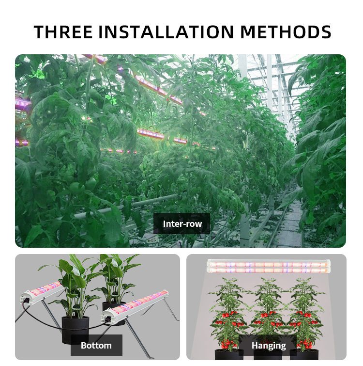 Under Canopy Grow Light Detail 6