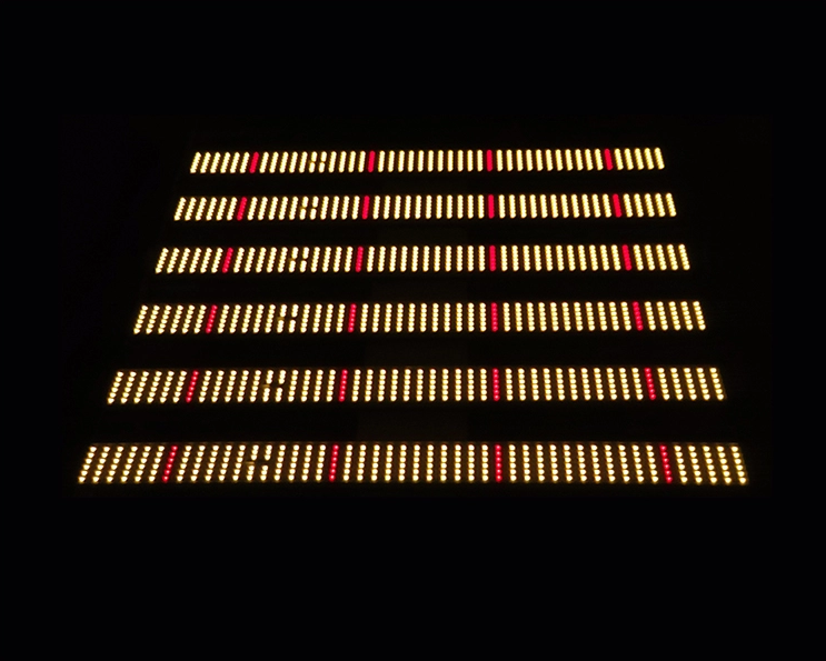 Full Spectrum Led Grow Light