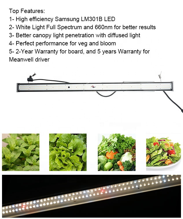 IR UV Full Spectrum 120W 240W MeanWell Driver LED Lamp LM301h LED Grow Light Board For Plants Hydroponics