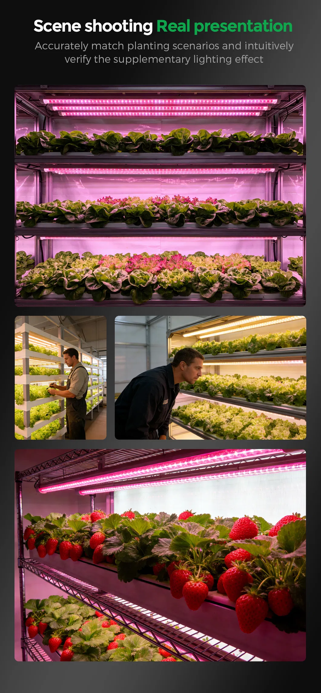 T8 Grow Light Features