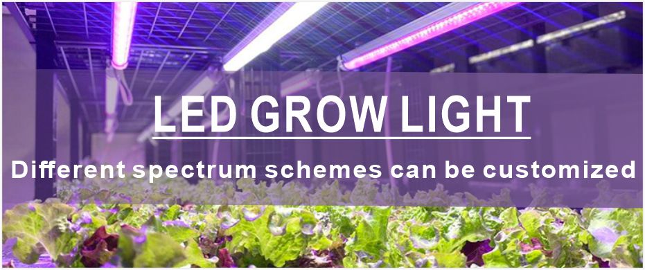 T8 Led Grow Lights Banner