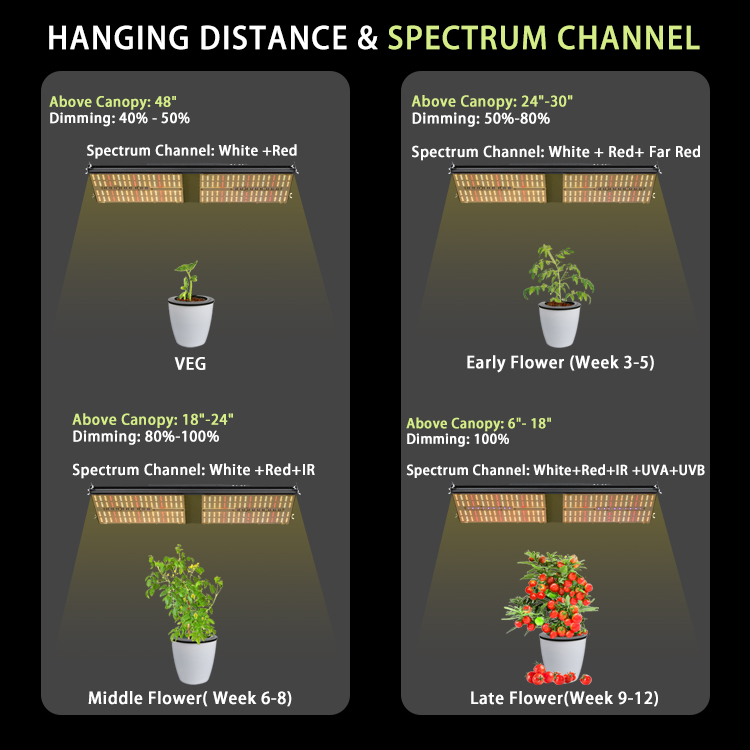 Spectral Performance 2