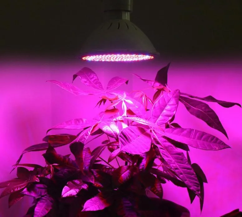 LED Grow Light 1