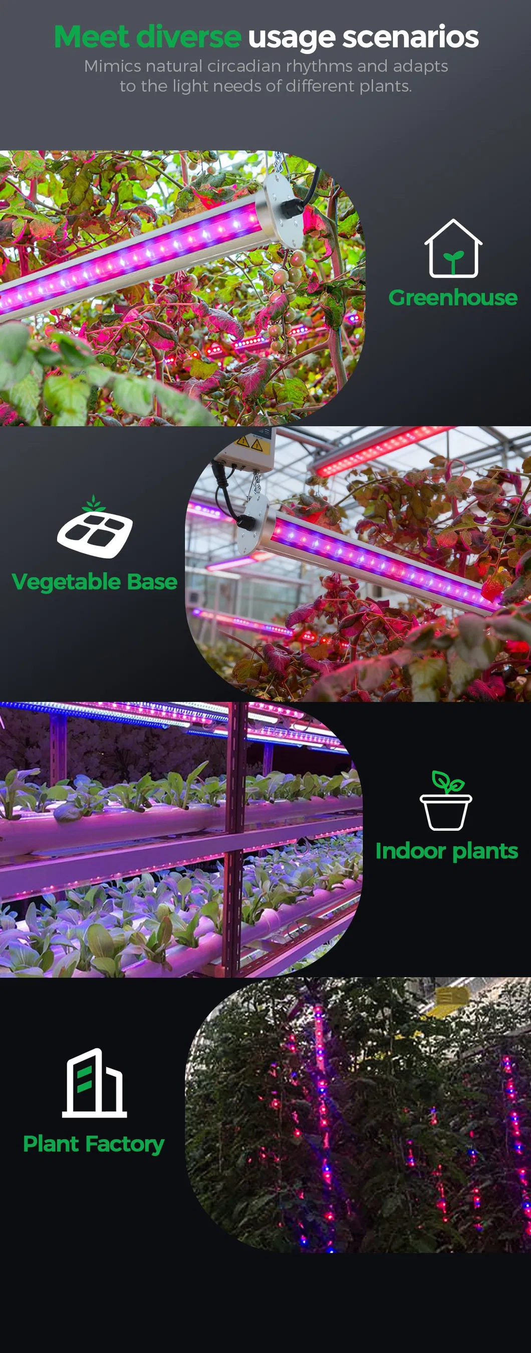 Samsung LED Grow Tube 2