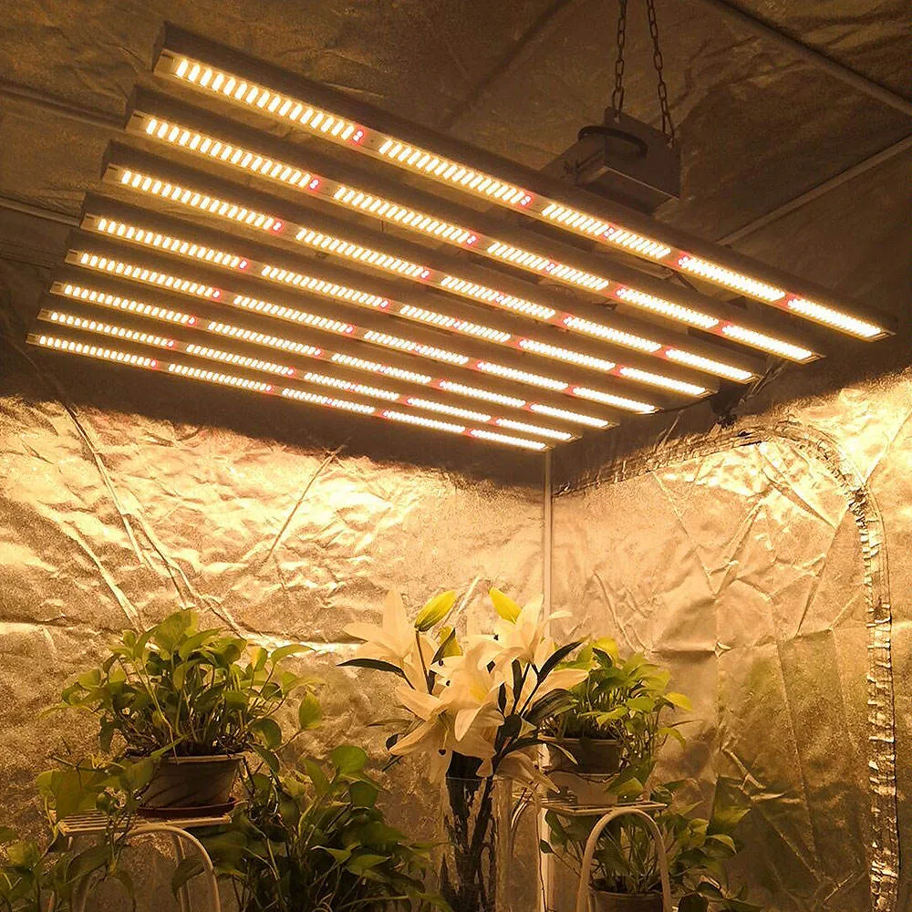 Lighting Spider Full Spectrum LED Grow Light for Greenhouse