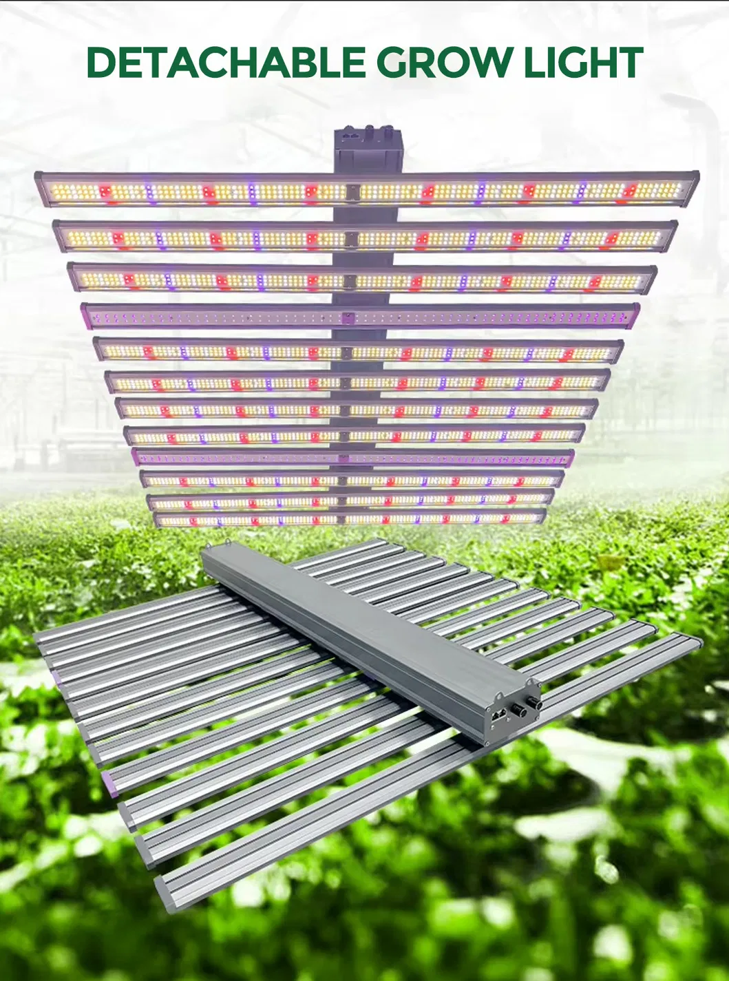 LED Grow Light 1