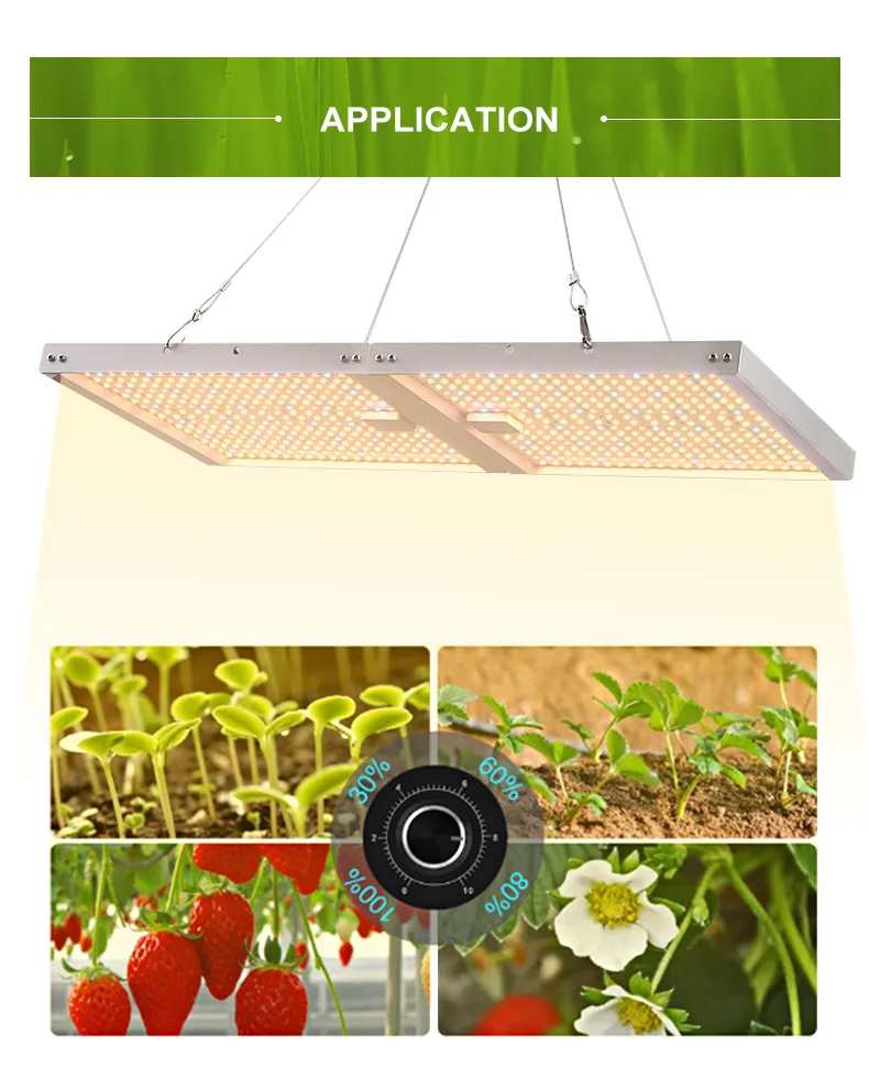LED Grow Light 10