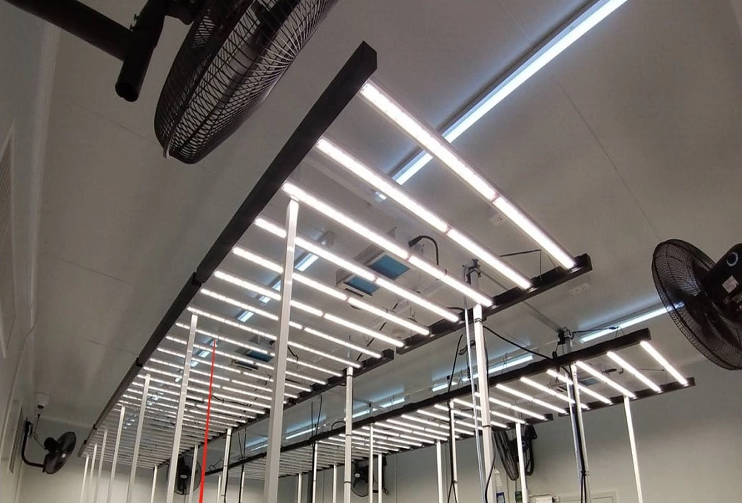 Full Spectrum COB IP65 Led Grow Light 400W Indoor Greenhouse Plant Commercial Dimmable Lm281b Lm301h Hydroponic Horticulture