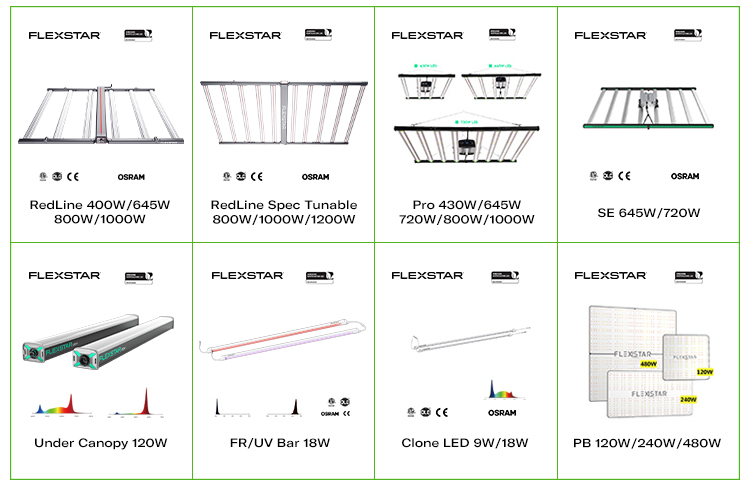 Related Lighting Options Group 1