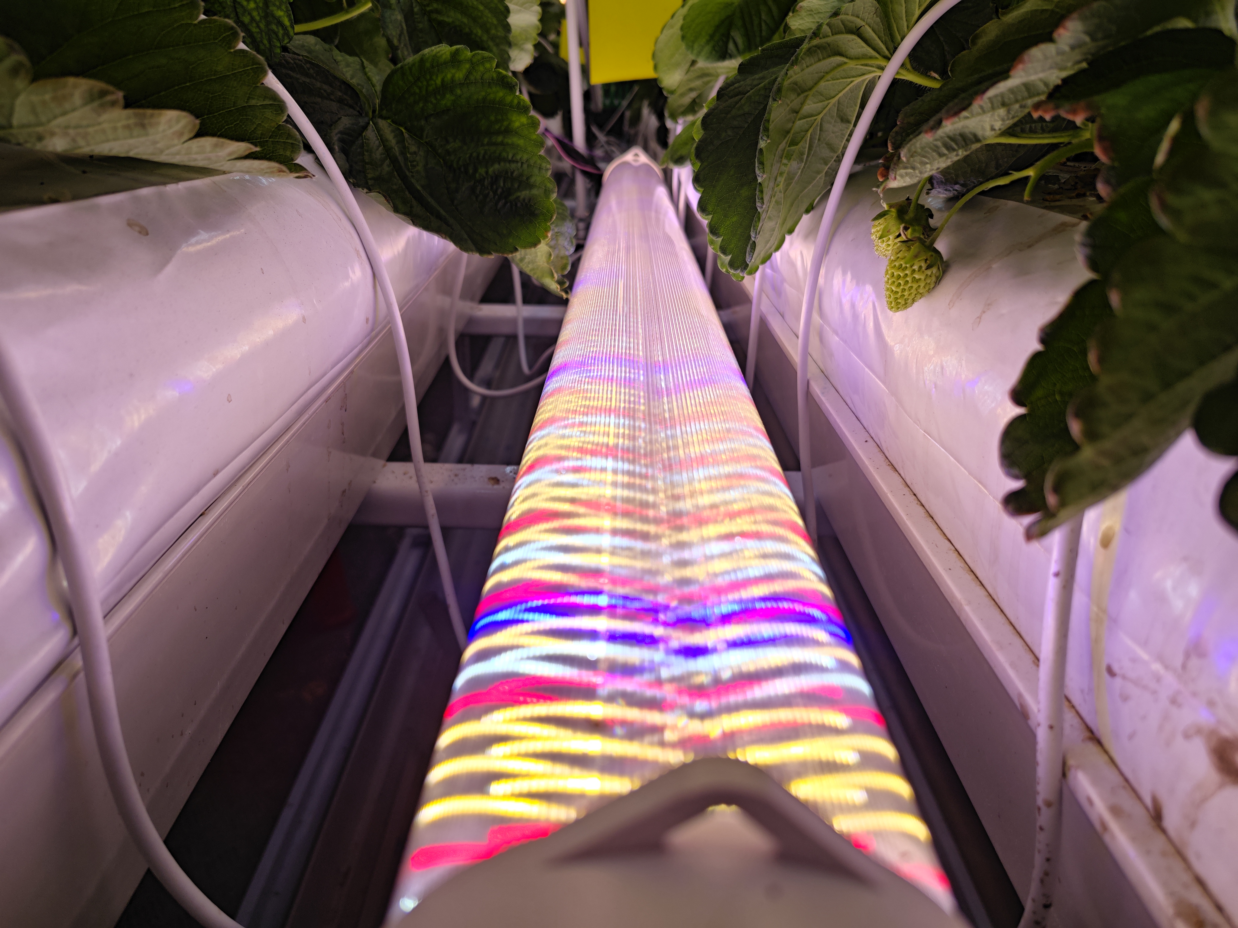 Grow Light System Product View 1