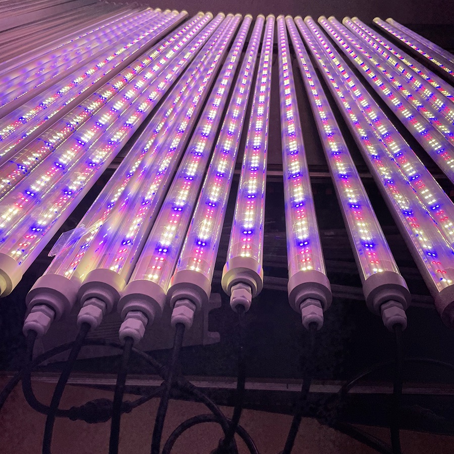Led Plant Grow Light For Grow Leafy Greens And Vegetables In The Vertical Cultivation Towers