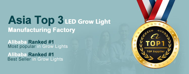 LED Grow Lights Banner