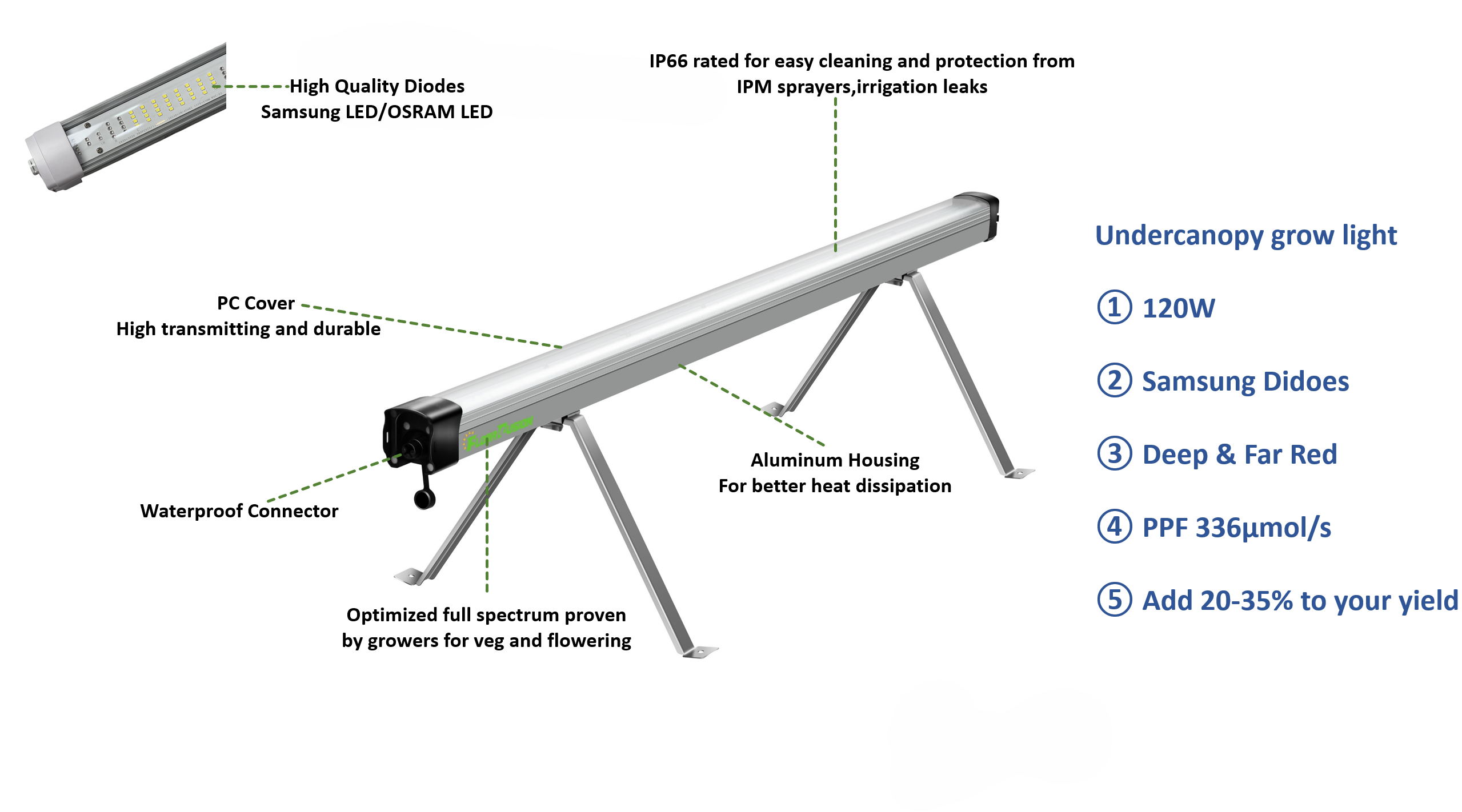 LED Light Detail