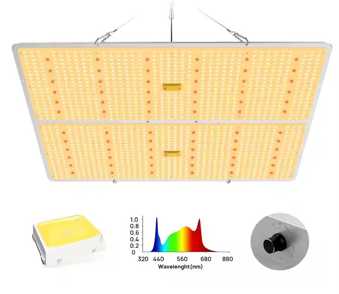 120W Full Spectrum Custom High PPFD Indoor Phyto Lamp LED Grow Light for Uv Ir Veg Bloom Plant Tent Growth
