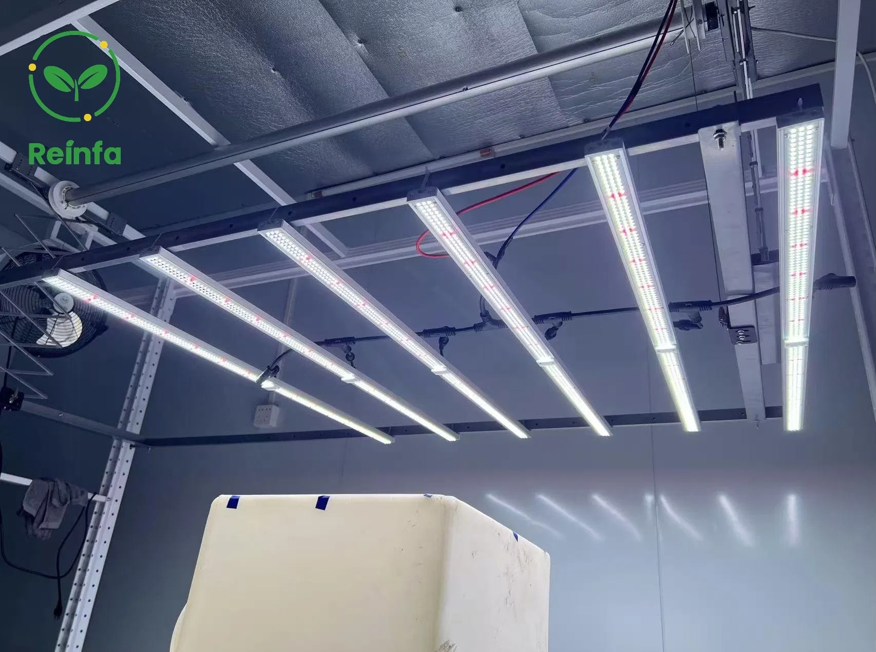Commercial 650W LED Grow Light Full Spectrum - Ideal for Hydroponics &amp; Vertical Farming