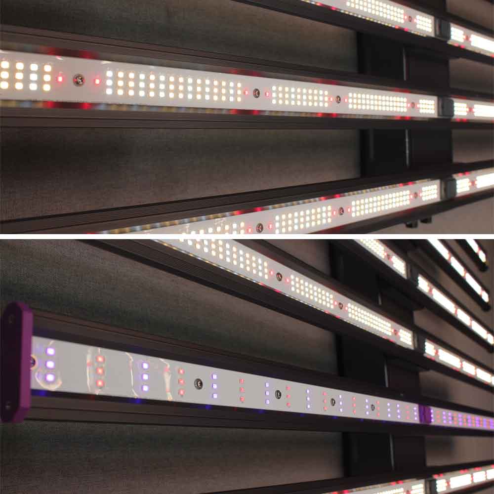 LED Grow Light View 6