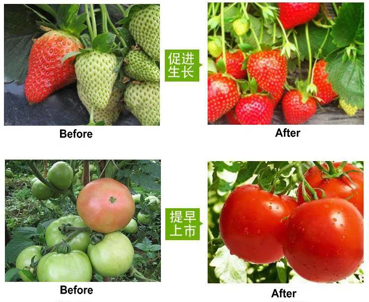 LED Grow Light Spectrum
