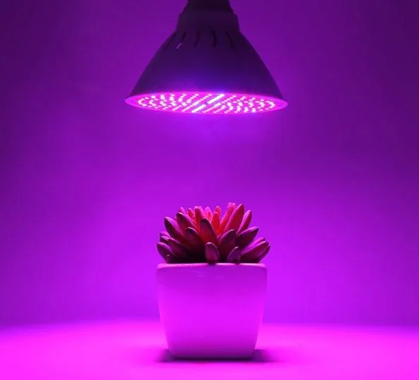 LED Grow Light 4