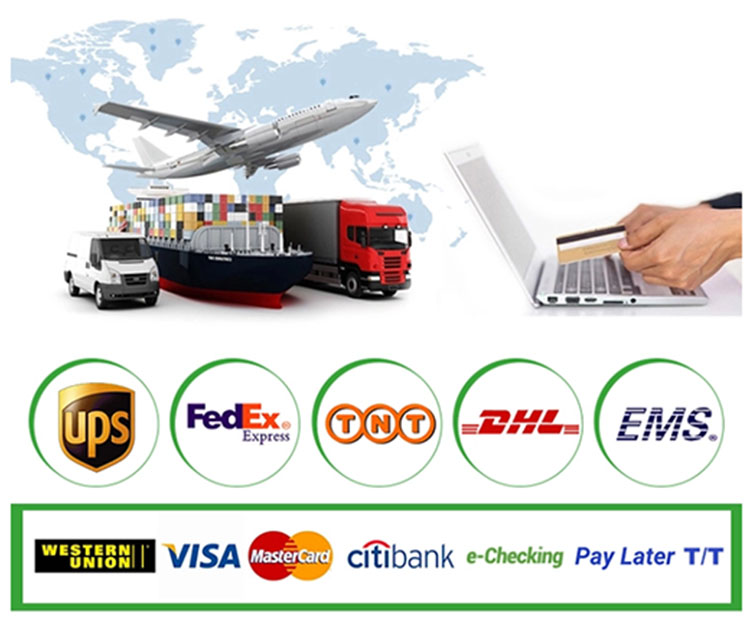 Packaging Logistics