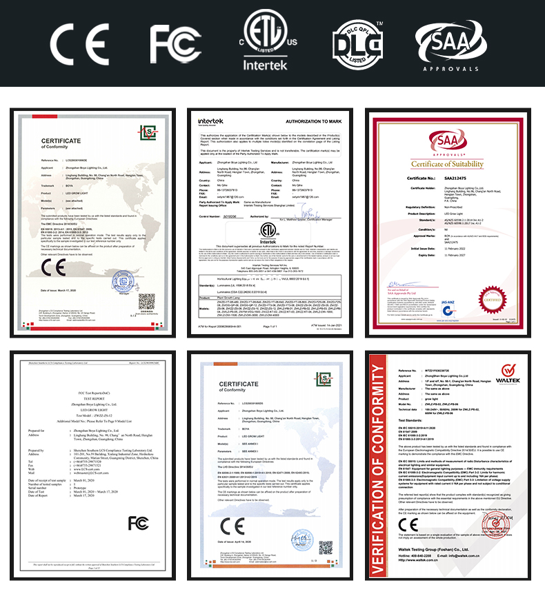 Application 6