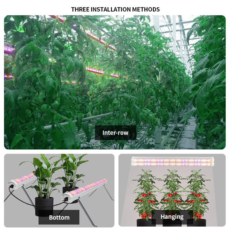 120w 100w Veg Application Under Canopy Led Grow Light Supplemental Lighting for Plants