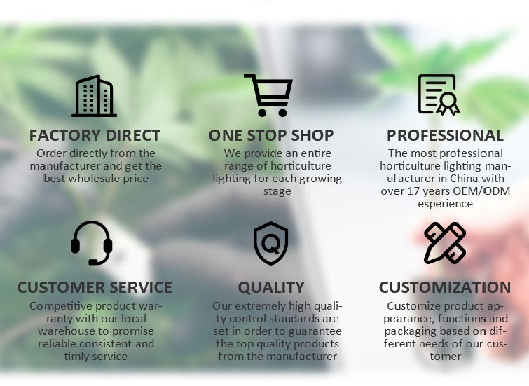 Service Advantages