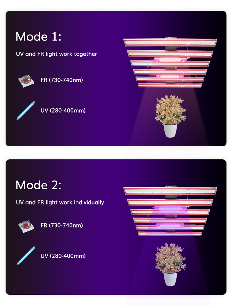 Supplemental grow light view 10