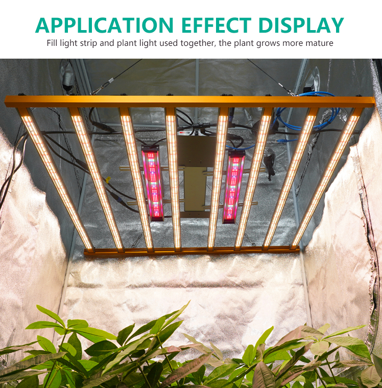 Product Application 1