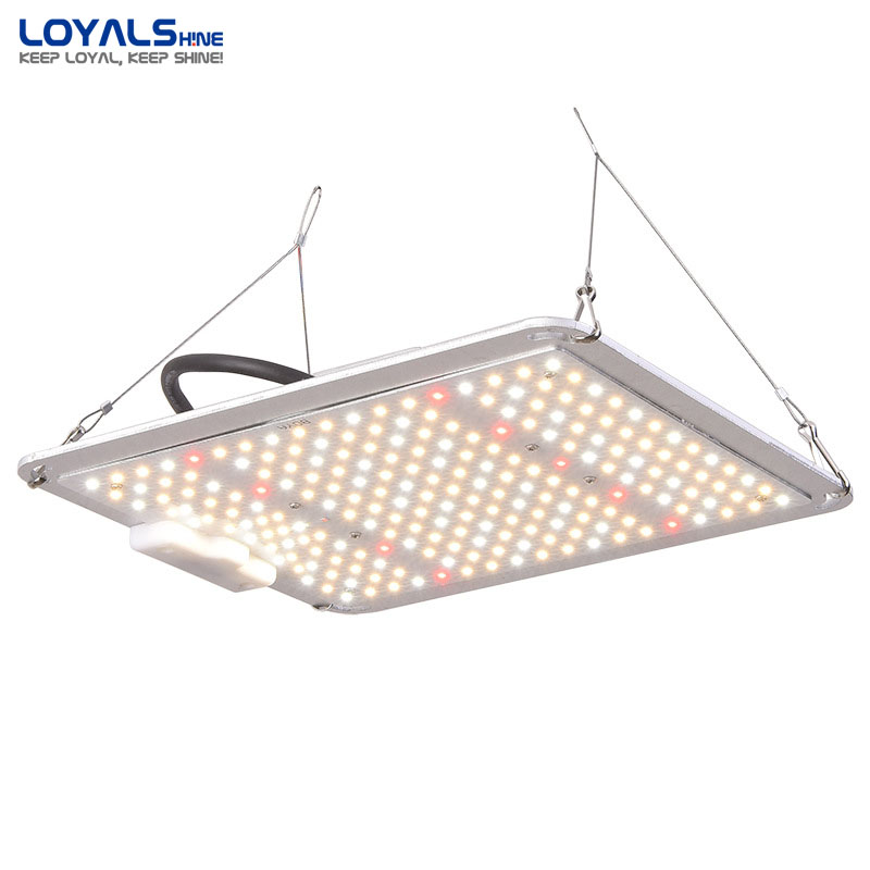 LED Grow Light Design 1