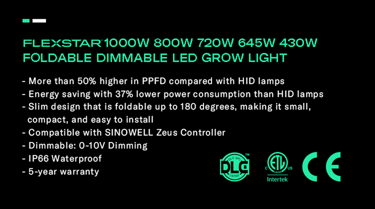 Product Details 2